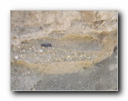 Click to enlarge this image